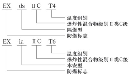 鍋爐差壓式液位計(jì)防爆示意圖